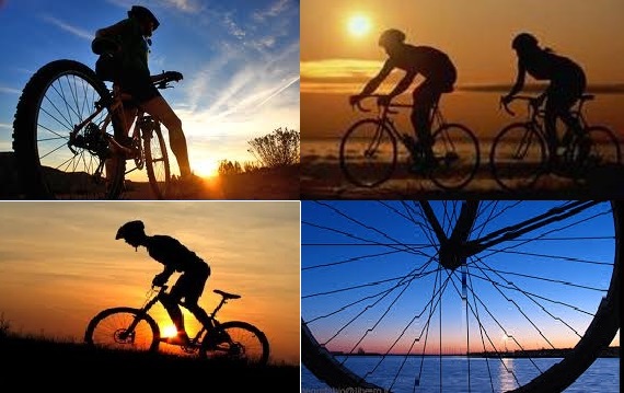 Offre pour CYCLISTES Vélo-Hotel à Rimini Nord