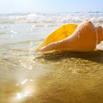 Offerte ponte 25 aprile Rimini Miramare