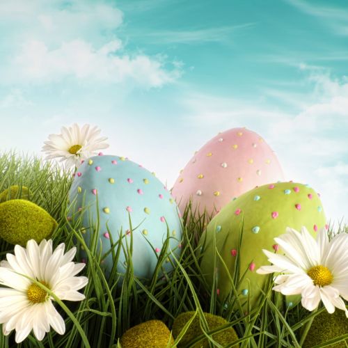 Osterangebot mit Halbpension Osterangebot mit Halbpension