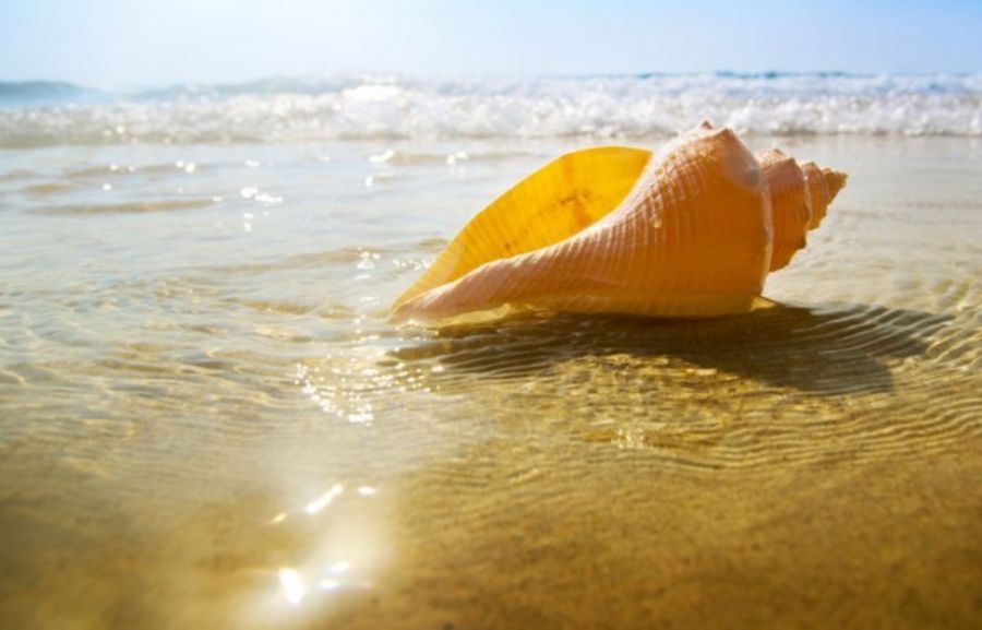 Offerte ponte 25 aprile Rimini Miramare