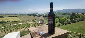 Terre del Sagrantino Montefalco