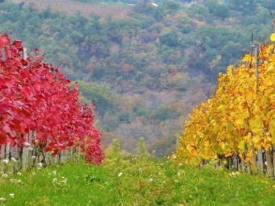 Autumn Lovers