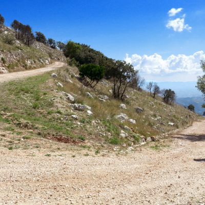 Bike Tour Panoramico del Monte Inici con discesa mozzafiato dei 100 Tornanti
