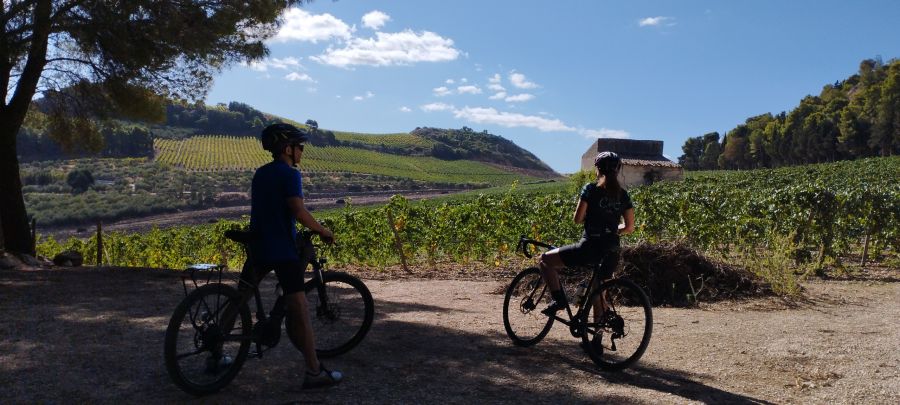In bici tra i sapori della Sicilia: 3 notti con 2 bike tour guidati