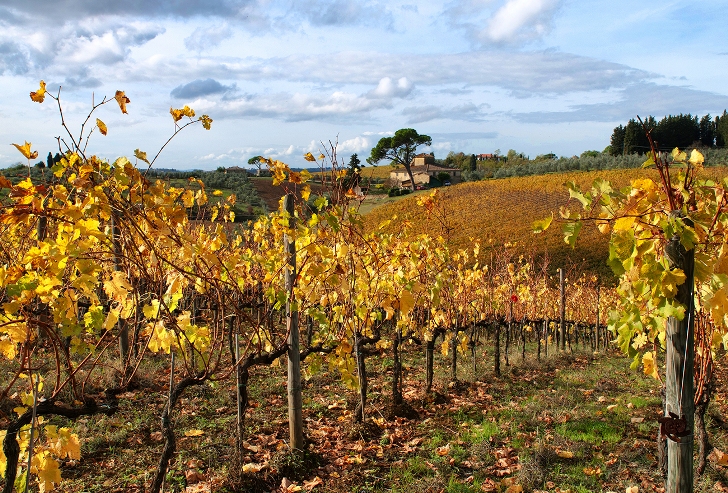 Offerte Chianti in autunno