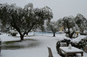 photogallery Hotel Ulivi