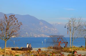 photogallery Hotel Ulivi