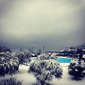 photogallery Hotel Ulivi