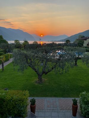 photogallery Hotel Ulivi
