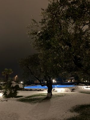 photogallery Hotel Ulivi