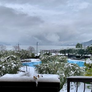 photogallery Hotel Ulivi
