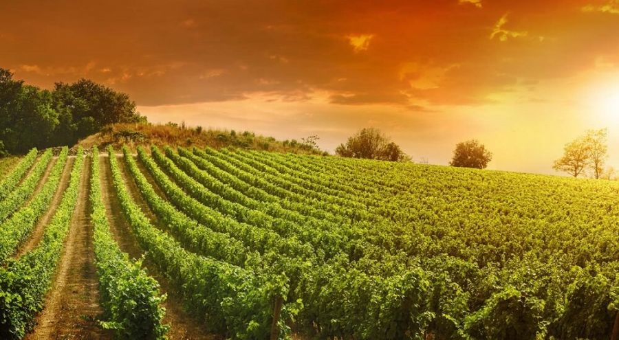 Discover The Land Of Franciacorta in Paratico
