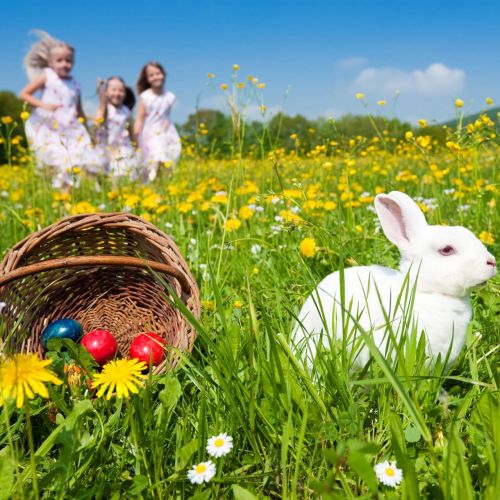 Lastminute Pasqua in agriturismo