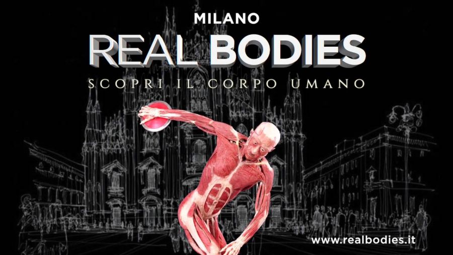 hotel vicino mostra Real Bodies Milano