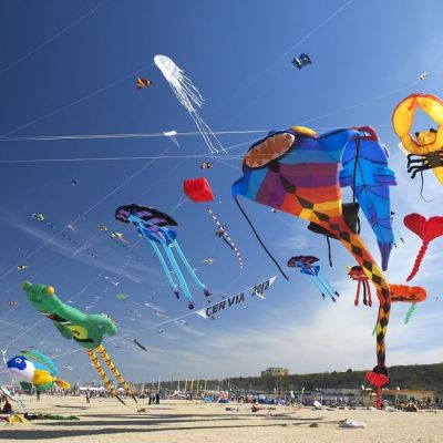 Offerta Festival degli Aquiloni di Cervia 2023