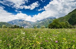 Last minute July in Livigno