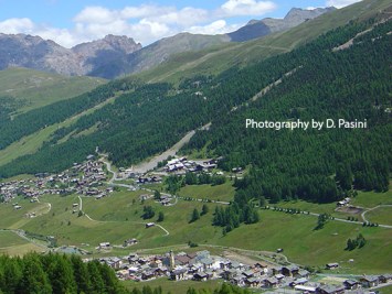 Livigno early booking offer 2015