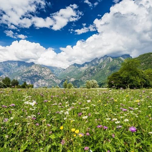 Last minute July in Livigno