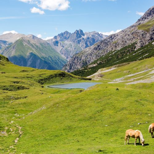 Settembre in appartamento a Livigno