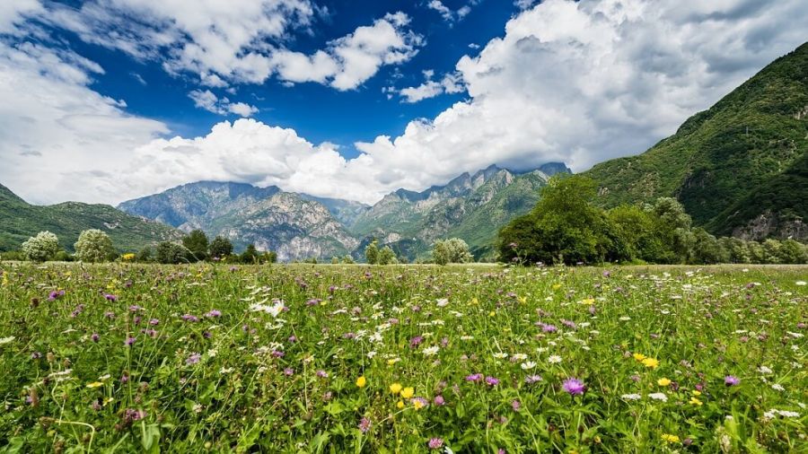 Offerta luglio a Livigno