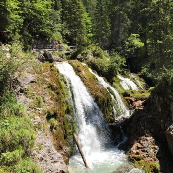 Offerte settembre in Trentino