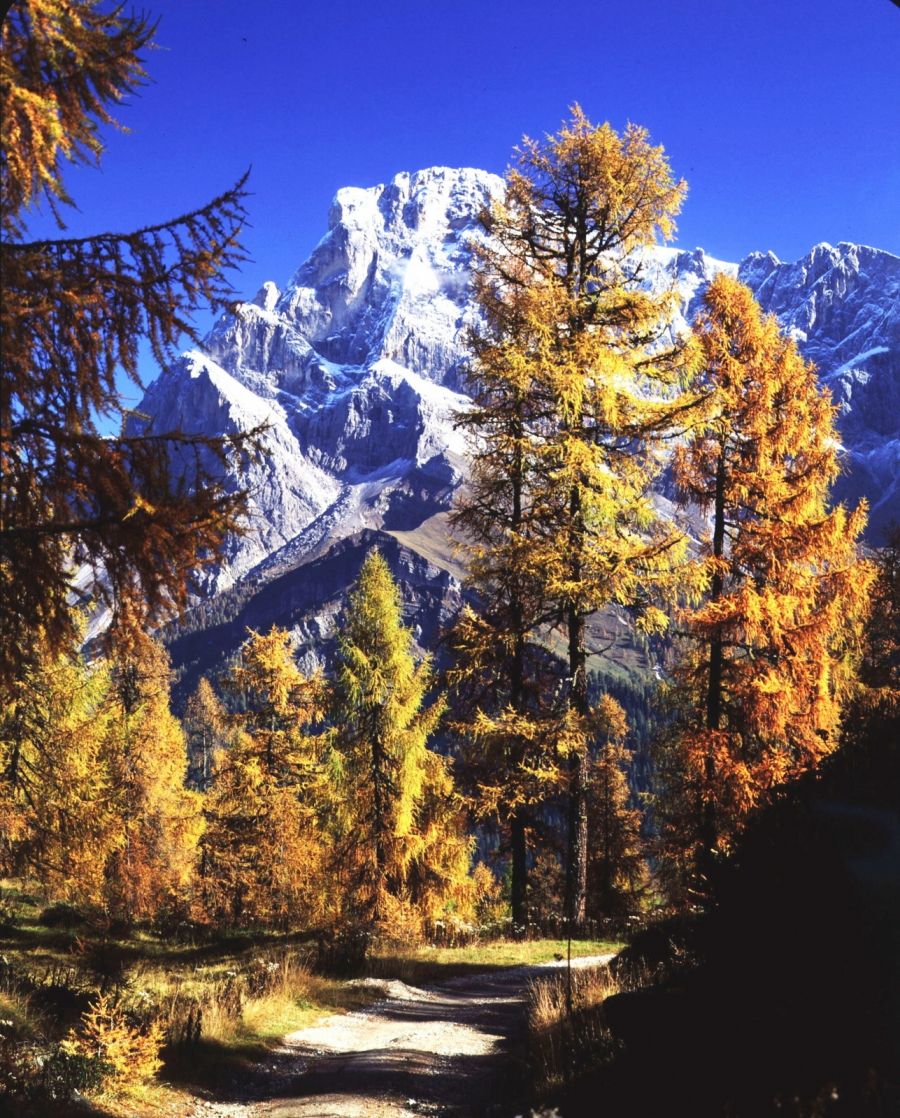 La tua vacanza last minute di settembre a San Martino di Castrozza