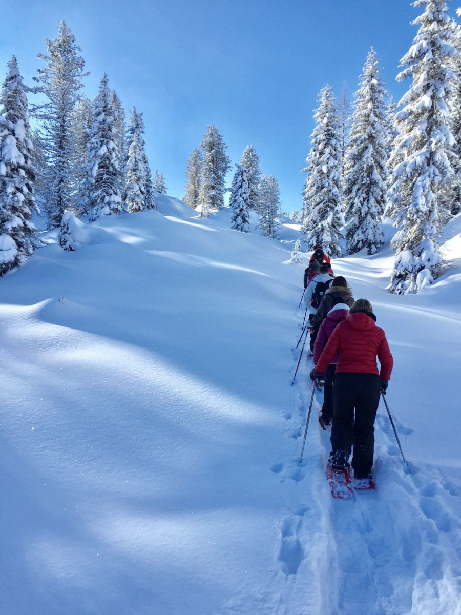 Snow Week in Trentino