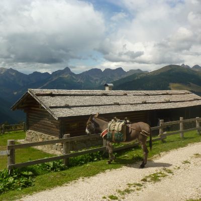 Last minute San Martino di Castrozza