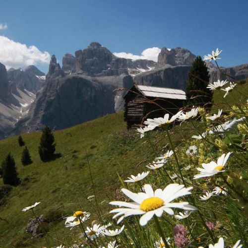 Juni  Holiday in den Dolomiten in San Martino di Castrozza