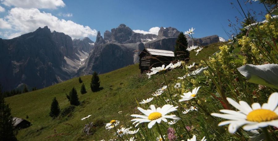 June  Holiday in the Dolomites in San Martino di Castrozza