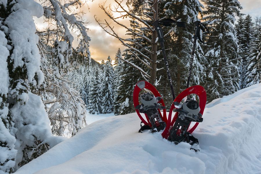 Week of snowshoes in San Martino di Castrozza in the Dolomites