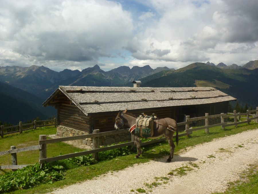 Last Minute San Martino di Castrozza