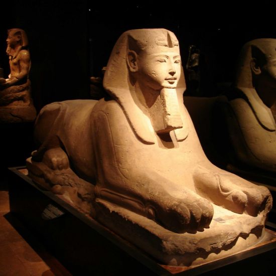 Offers for the Egyptian Museum in Turin