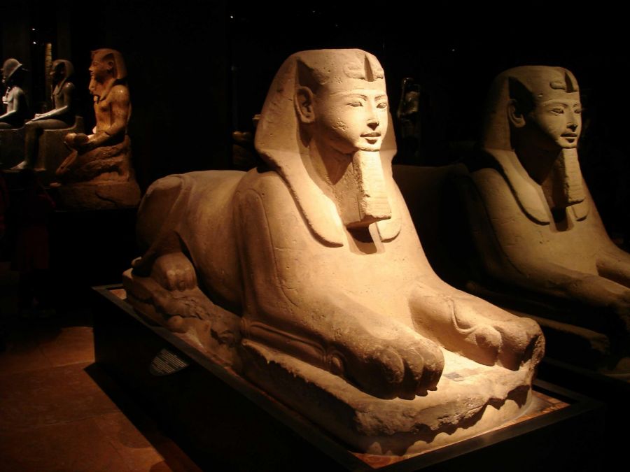 Offers for the Egyptian Museum in Turin