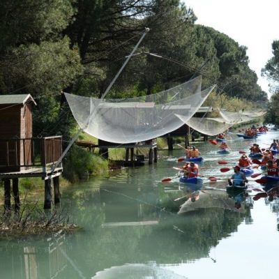 Immagine Hotel Riviera Milano Marittima