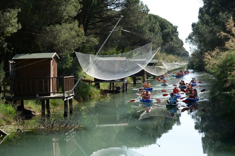 In Canoa in mezzo alla Pineta a Cervia