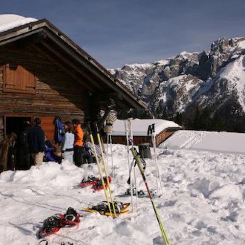 Snowshoeing and excursions on the snow