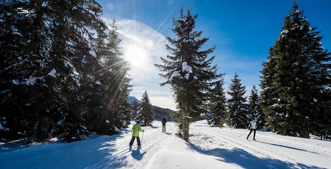Discover cross-country skiing trails