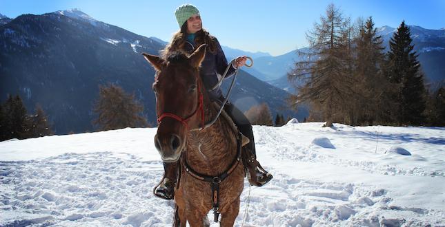 Horse riding on the snow